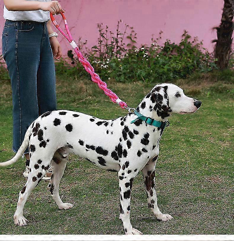 Durable 150cm Hand-Braided Leash