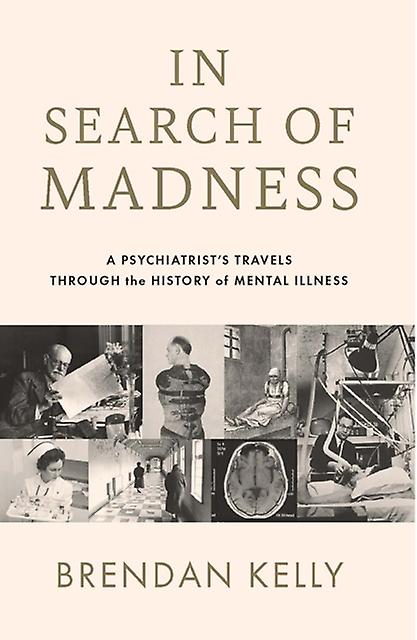 In Search Of Madness by Brendan Kelly Paperback