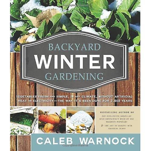 Bakgård vintern trädgårdsskötsel