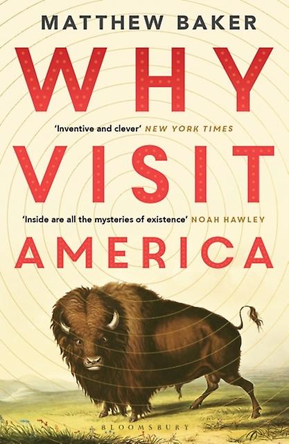 Why Visit America by Matthew Baker Paperback