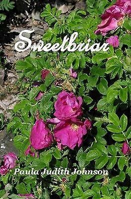 Sweetbriar A Love Triangle Romance