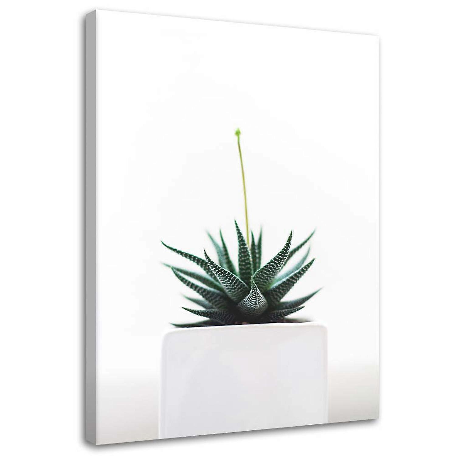 Lienzo, Planta joven en maceta - 40x60