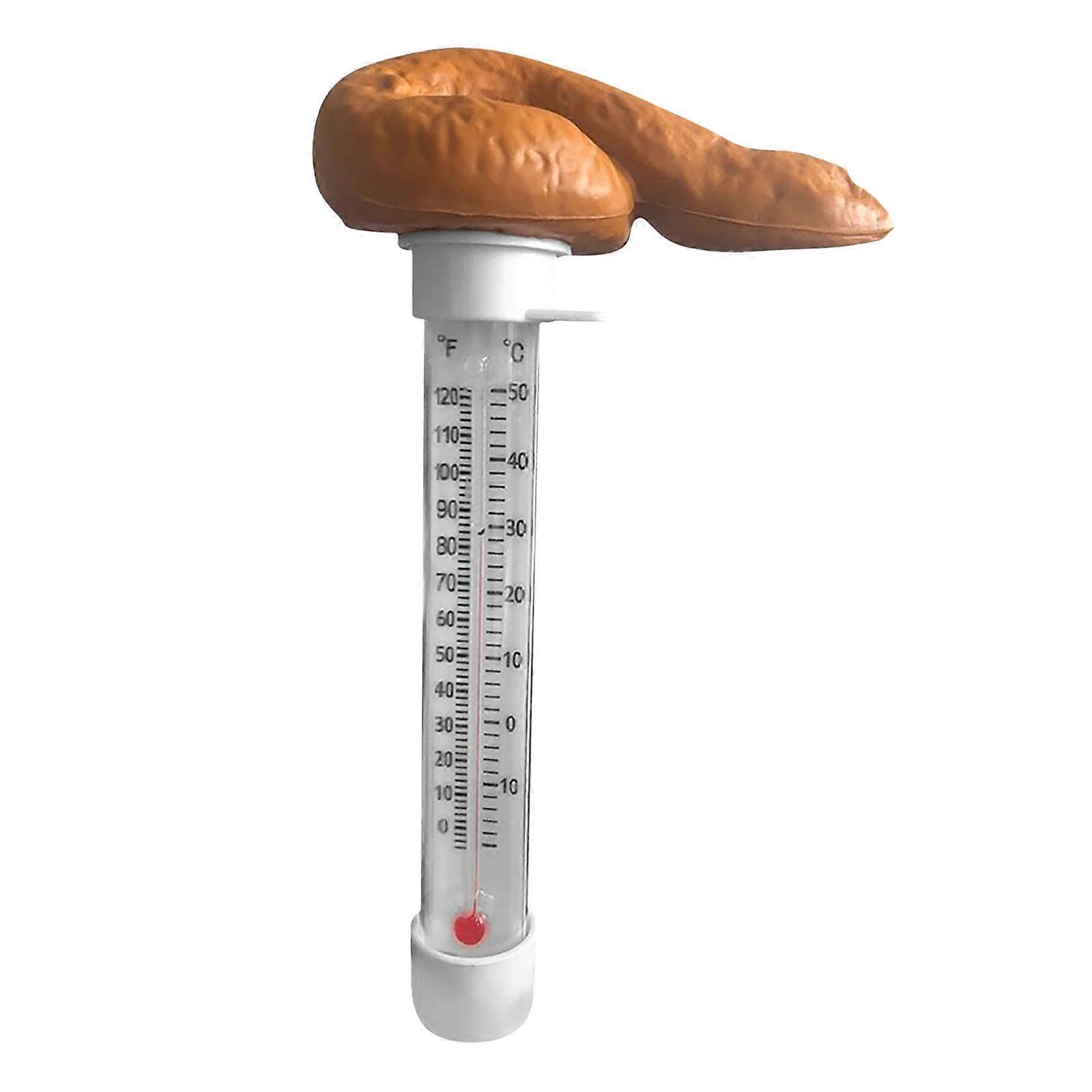 Poop Shaped Prank Pool Funny Thermometer Floating Thermometer