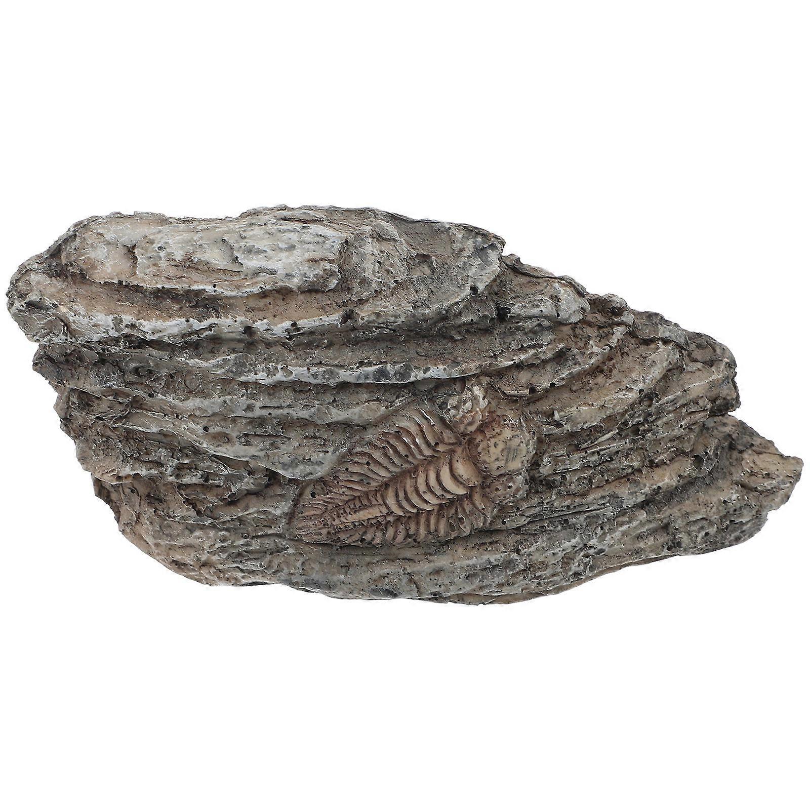 Trilobite Specimen for Decor Made of Resin Grey Color Suitable for Teaching and Collecting 3 5 inches