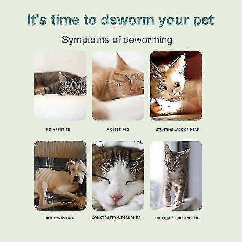 Ormekur for hund og katt, 6 kapsler internt ormekur 2025