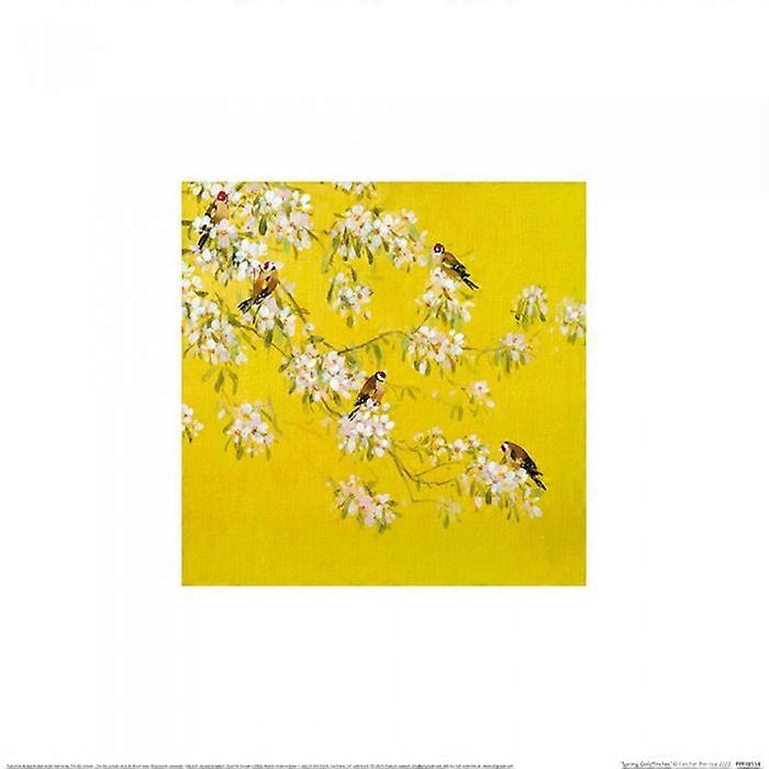 Fletcher Prentice Spring Goldfinches Framed Poster
