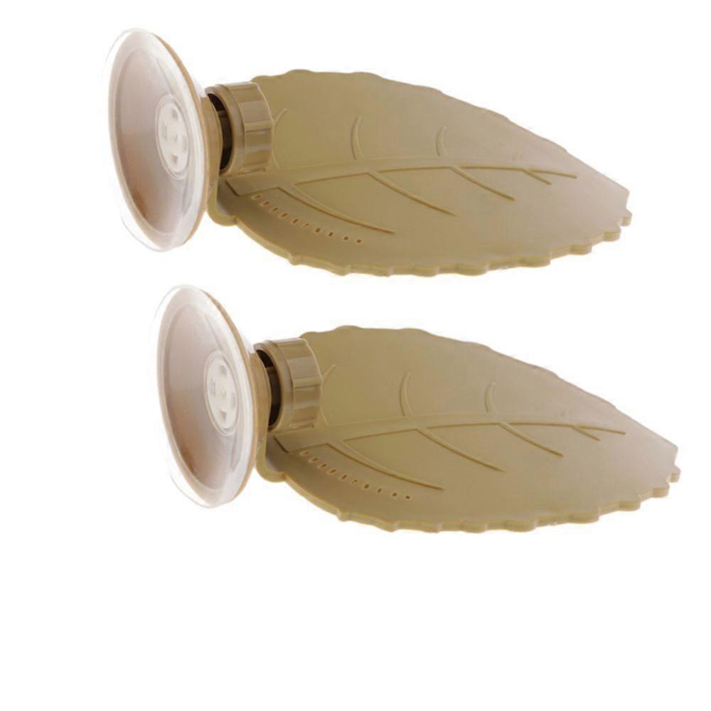 Aquatic Turtle Reptile Slaughter Platform