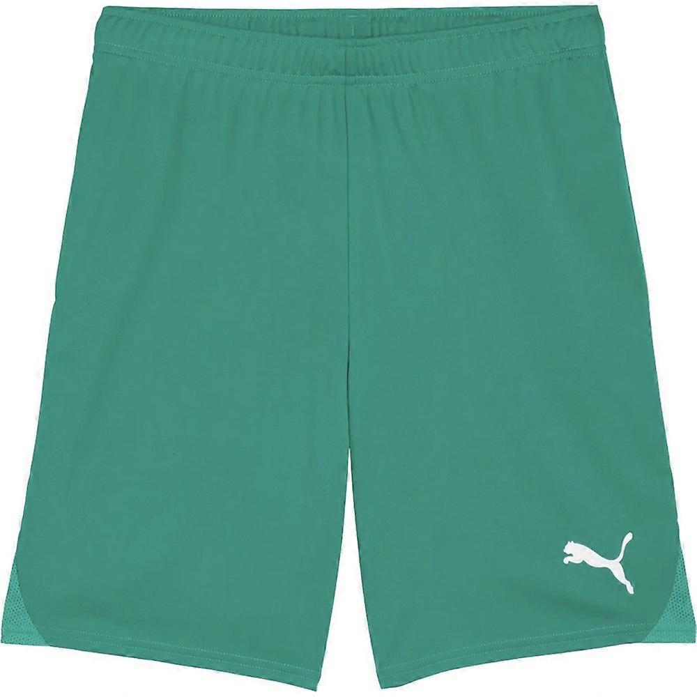 Trousers Puma Team Goal S0060