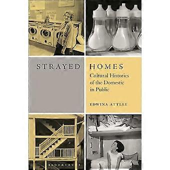 Hogares perdidos: historias culturales de lo doméstico en público