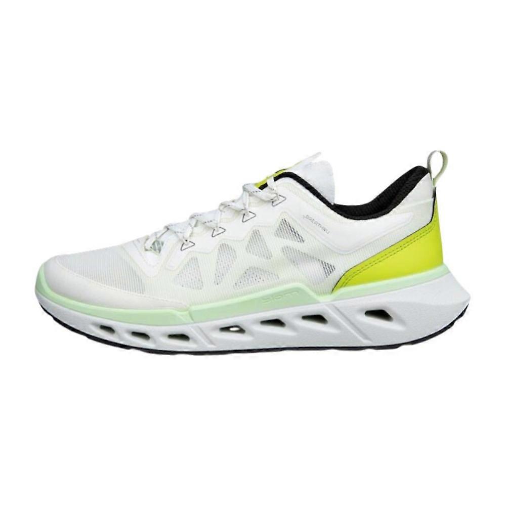 Shoes Ecco Biom 720 85031461646