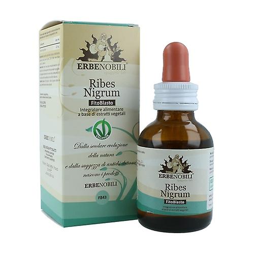 black currant 50 ml