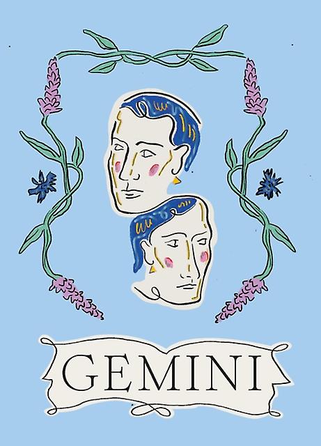 Gemini by Liberty Phi Hardback Book