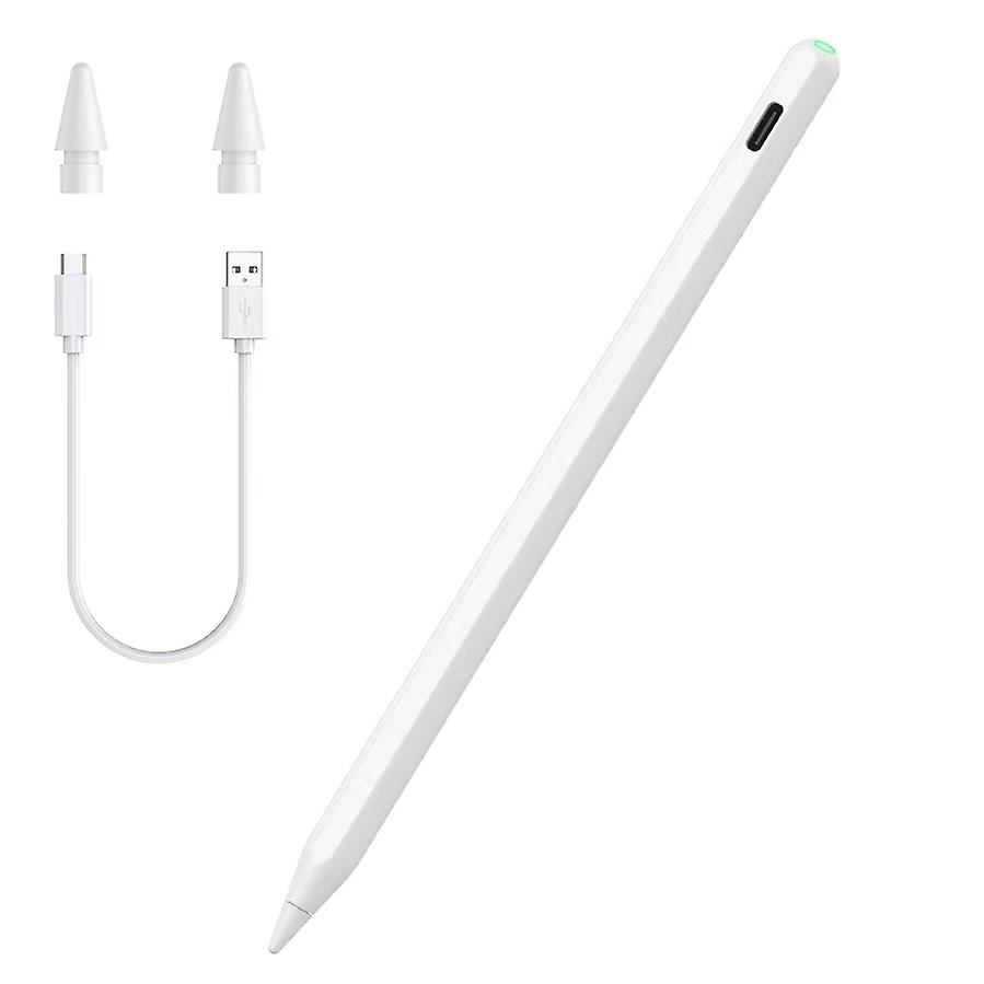 Stylus Pen with Replacement Tips for iPad Pencil