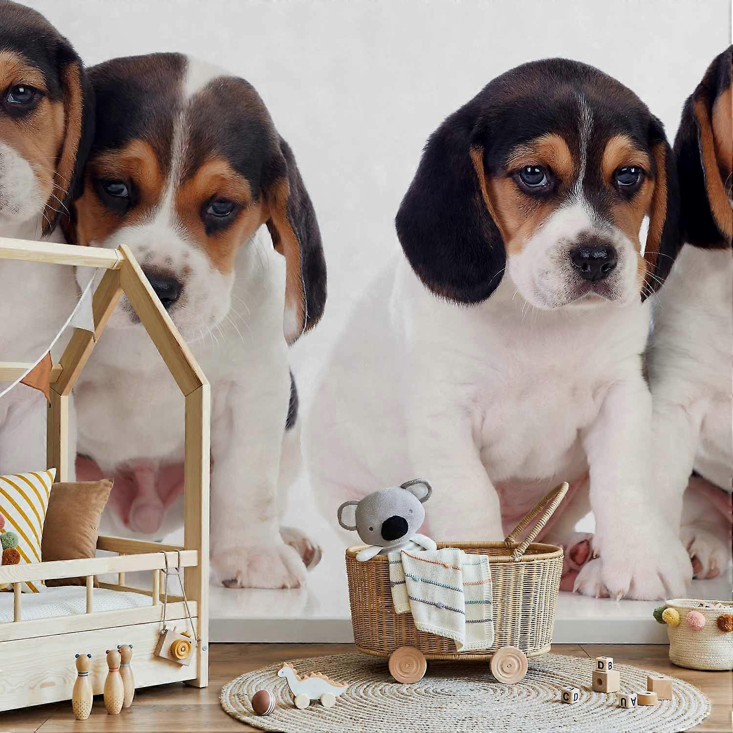 Itseliimautuva seinämaalaus - Surulliset pennut