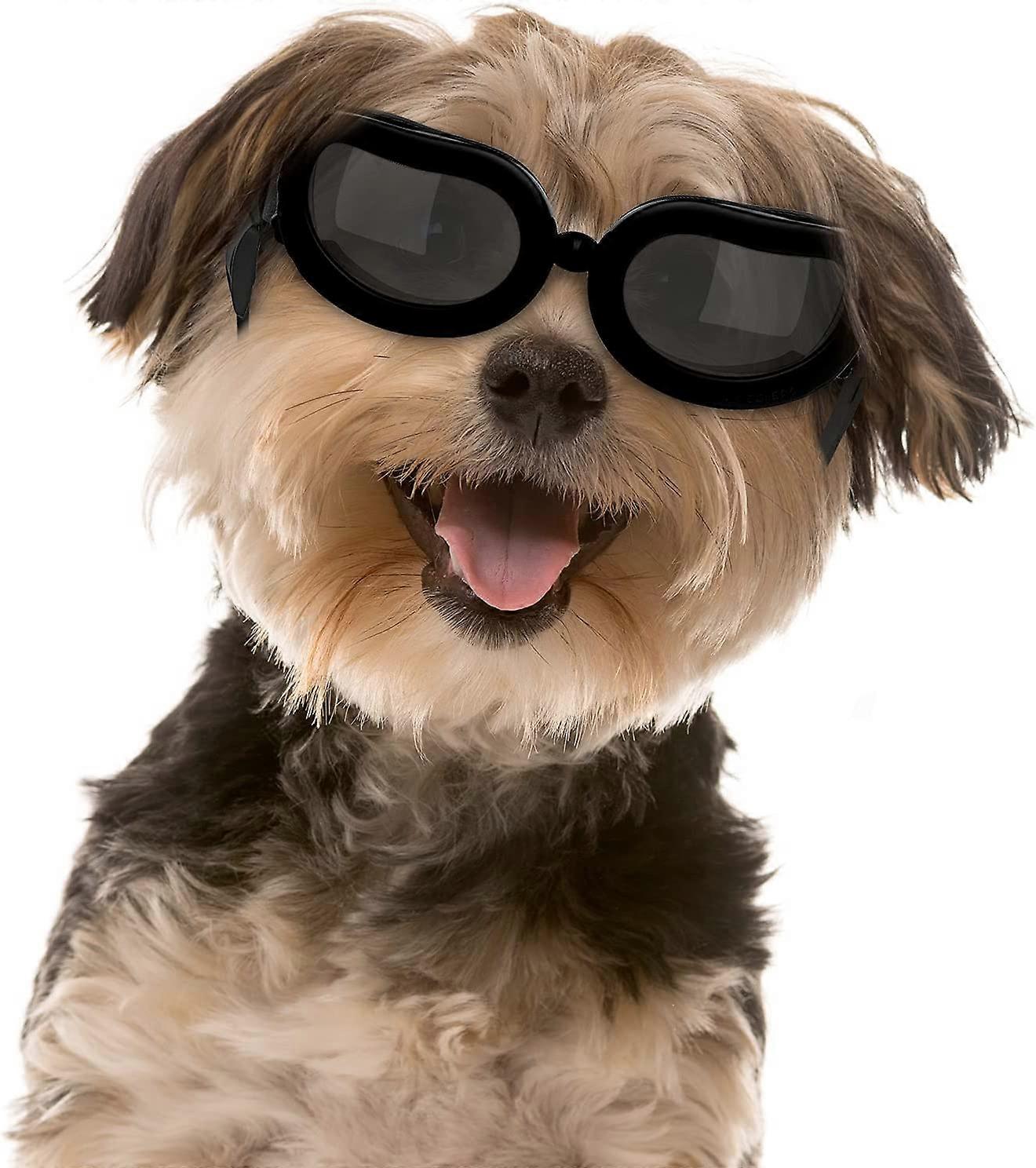 Dog Sunglasses, Small  Goggles
