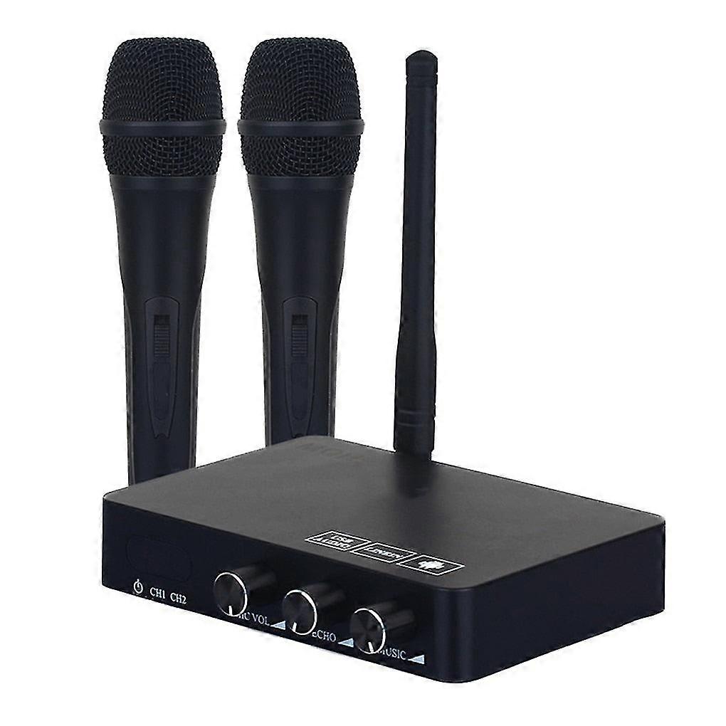 Wireless Mini Home Echo Karaoke Systeme