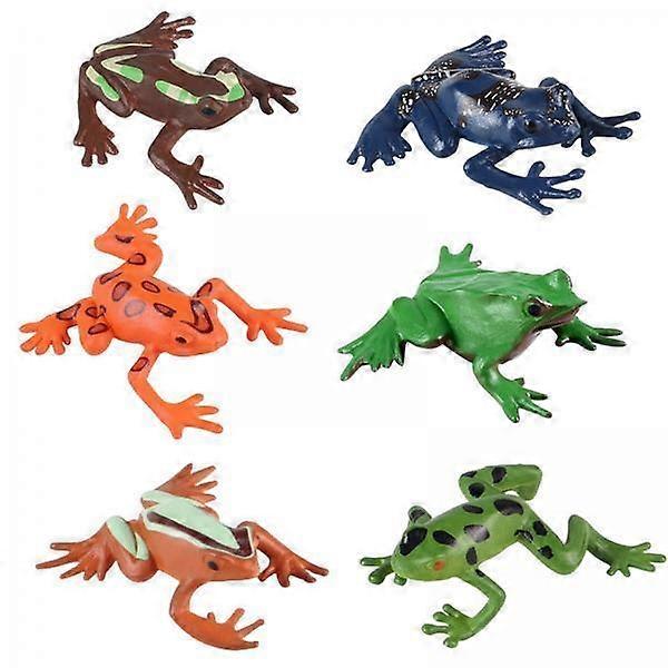 4x 6x Simulation Animals Frog Cycle Growth Model