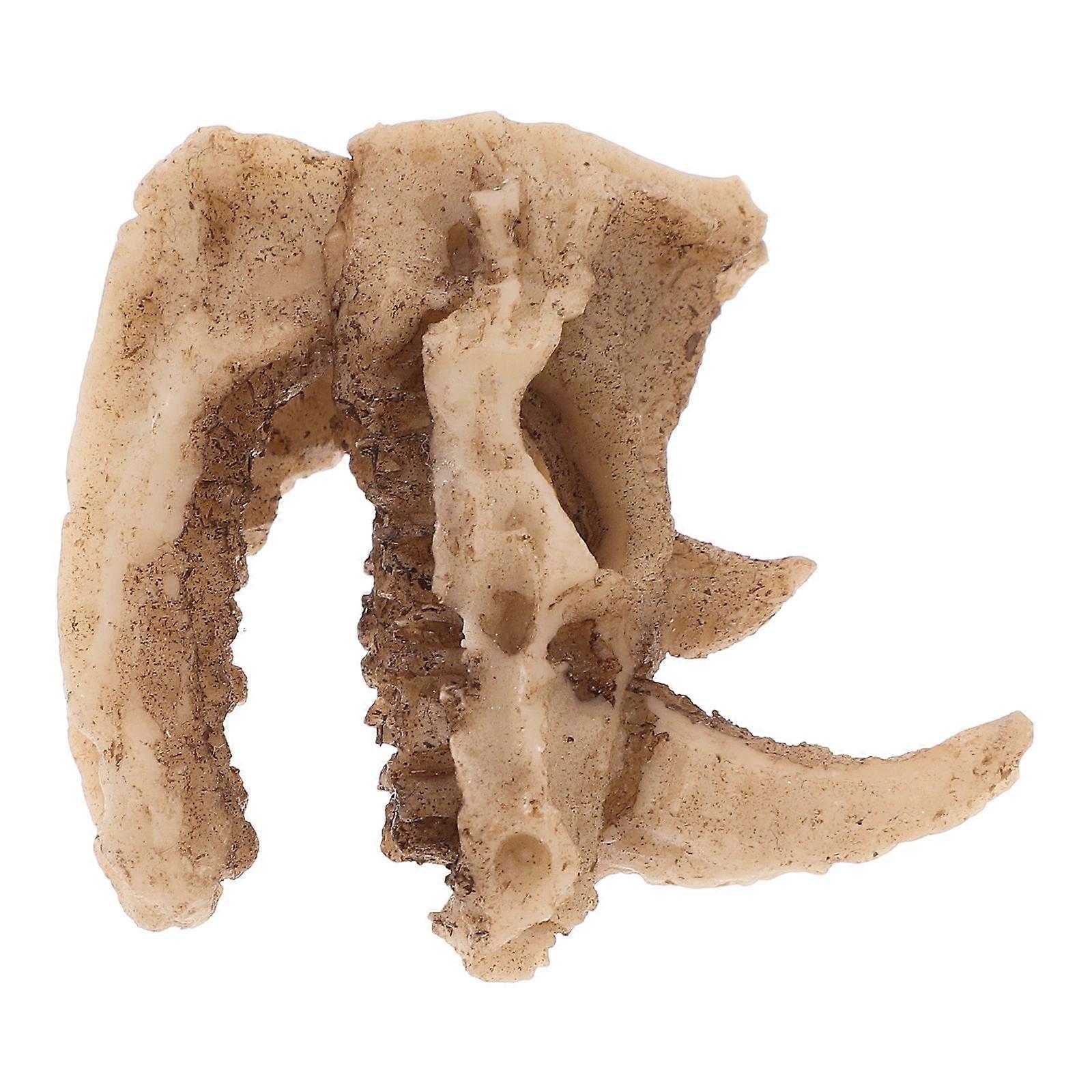 Resin Rhino Skull Decor for Reptile Tank Creative Hiding Place Beige Color Ideal for Turtle Habitat
