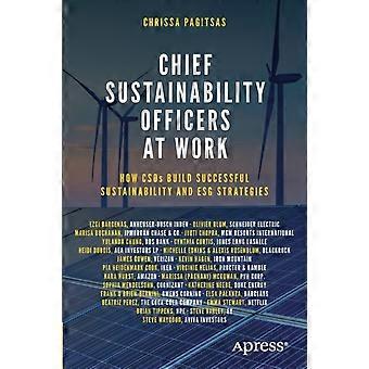 Chief Sustainability Officers At Work How Csos Build Successful Sustainability A - Chrissa Pagitsas