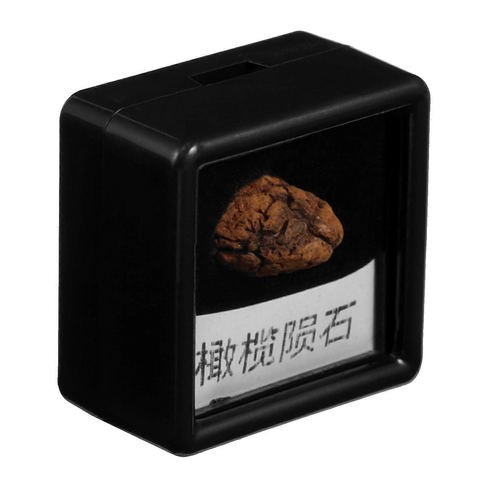 Meteorite Sample Stone Ornament for Classroom Teaching 4Pcs Set
