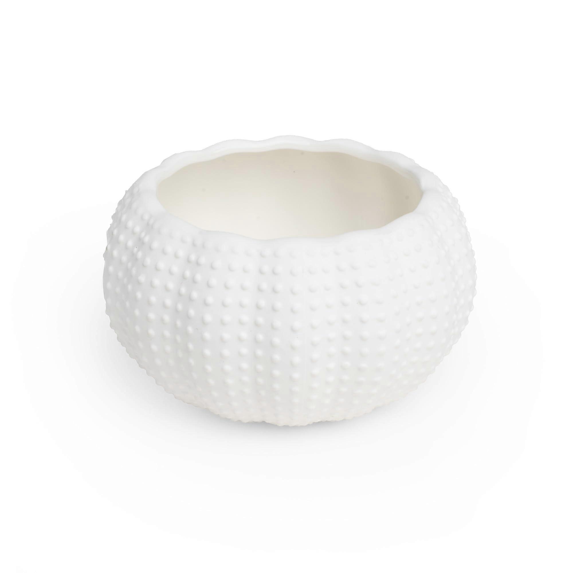 Porcelain Dinnerware Set of 4 Large Sleek Durable Plates for Main Courses Salads and Special Occasions