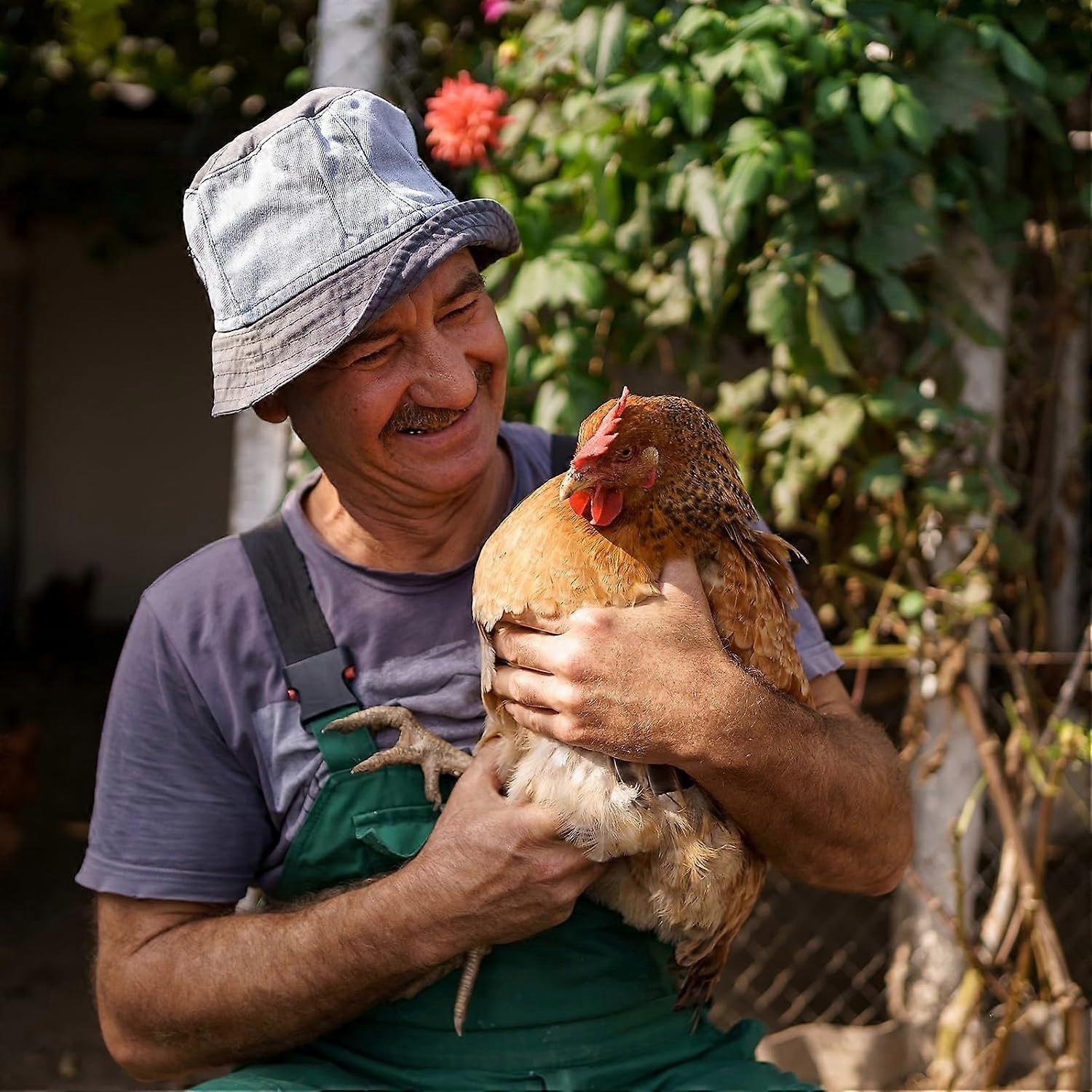 Heavy Duty Poultry Killing Cone Rustproof Steel Flat Back for Quick Chicken and Turkey Processing
