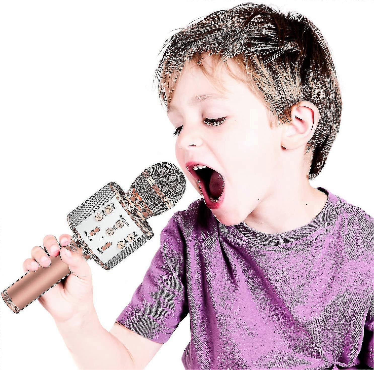 Children Wireless Microphone Toy