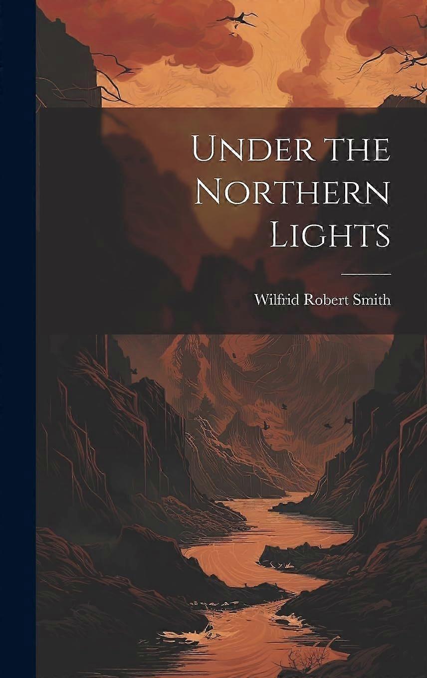 Under the northern lights