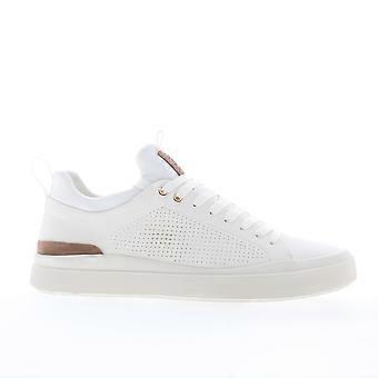 Steve Madden Perla Lifestyle-Sneaker für Herren