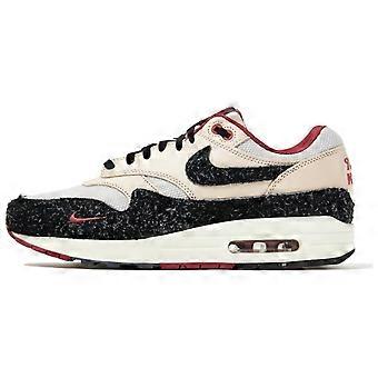 Nike Air Max 1 "Keep Rippin Stop Slippin 2.0" FD5743-200