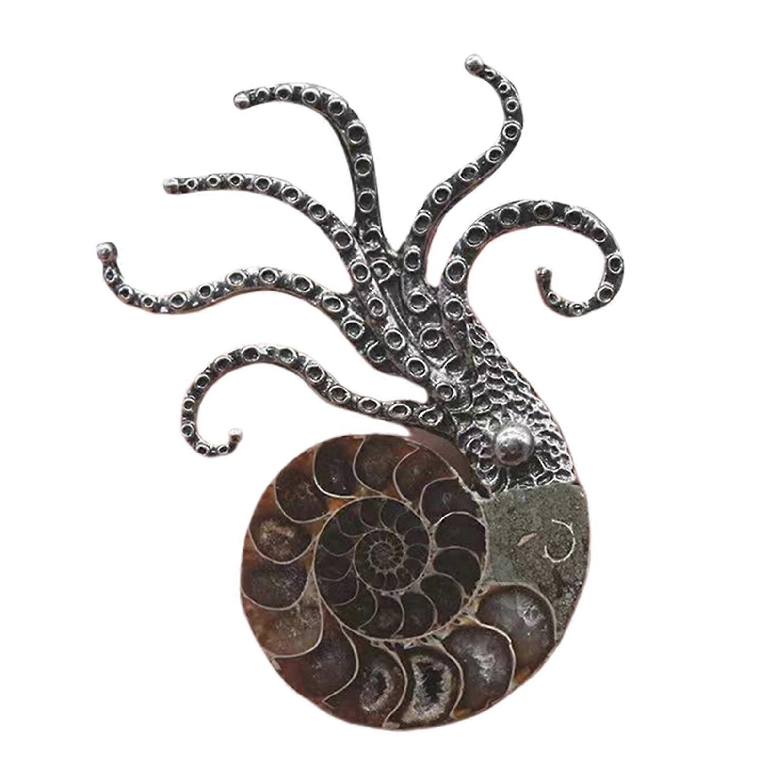 Natural Ammonite Fossil Conch Specimen Healing brooch