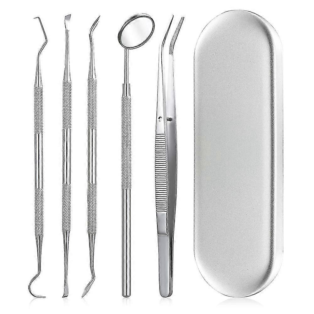 Dental Care Kit For Plaque Removal Tool Set Including Dentist Mirror And Tartar Scrapers