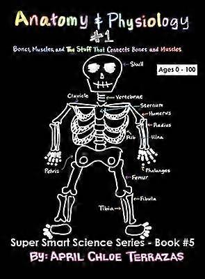 Anatomy & Physiology Part 1