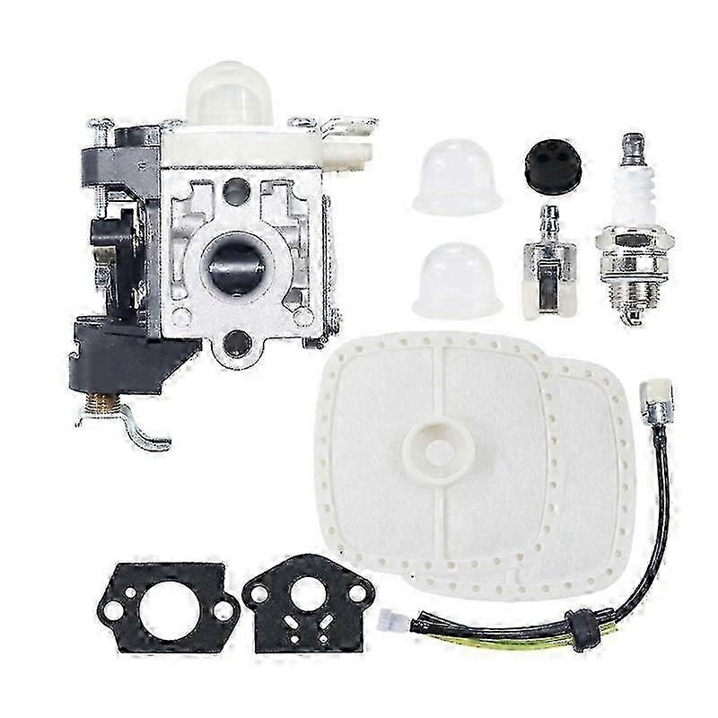 Blower Carburetor With Air Filter A021003661 For Echo RB-K106 PB-250LN PB250 ES-250 Leaf Blower Carburetor Kit -A1