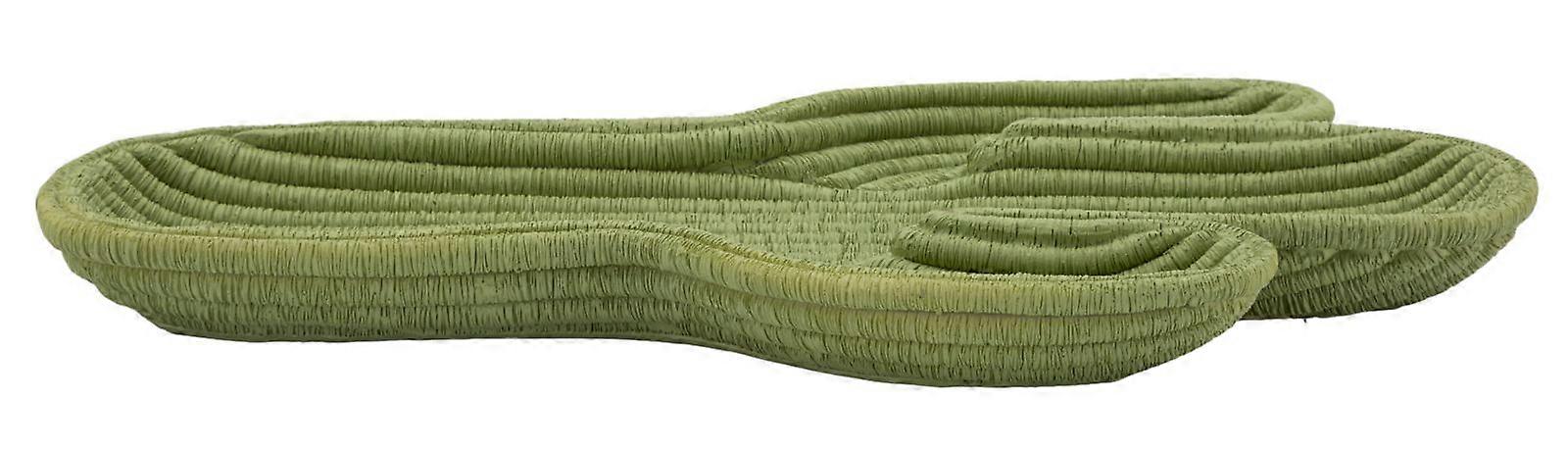 BANDEJA DE CACTO CM 34X20X3 