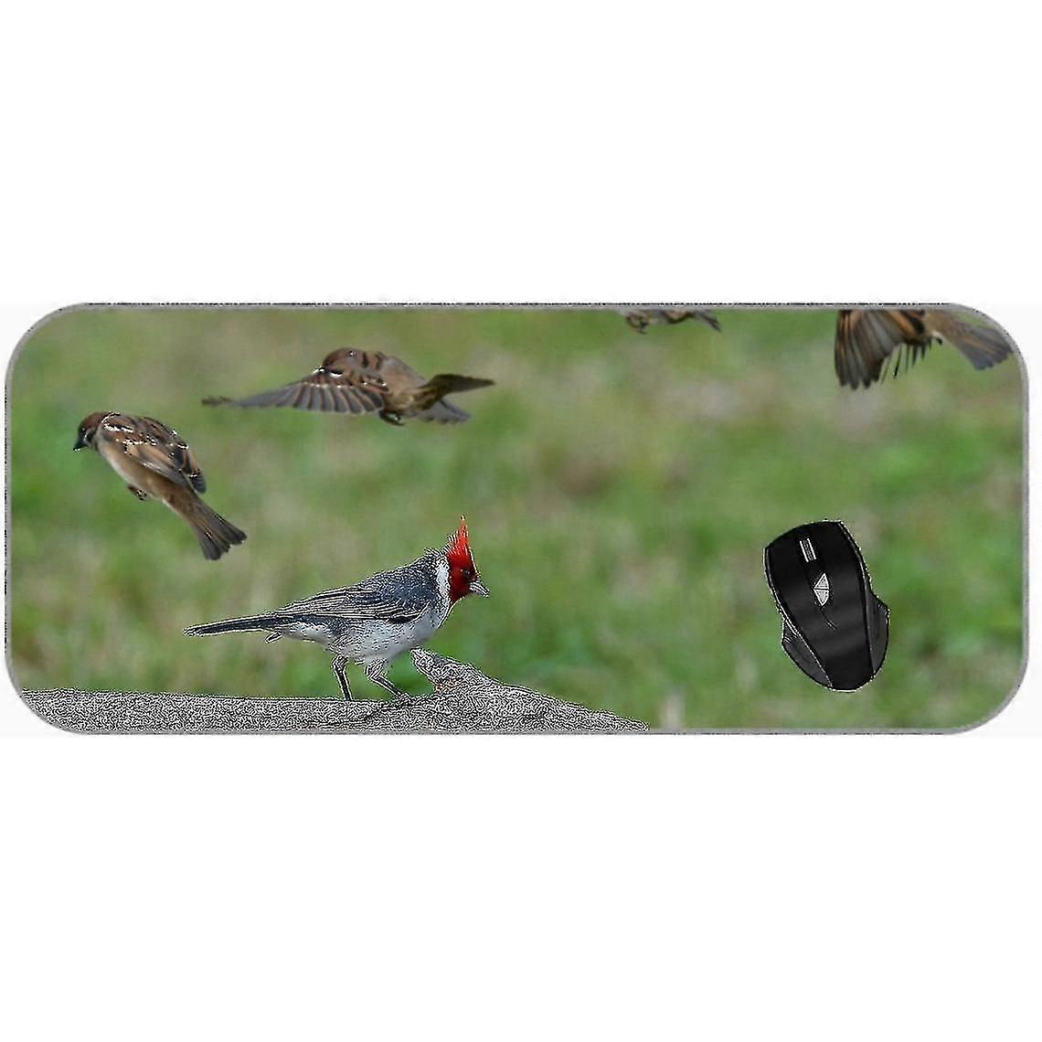 (750x300x3) Kid Mouse Pad