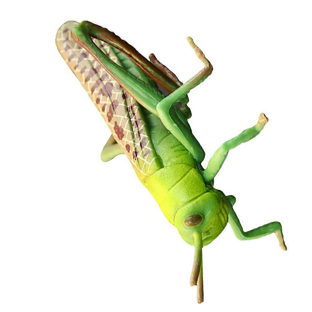 1pc Simulation Locust Model Plastic Grasshopper Decor Insect Plastic Toy