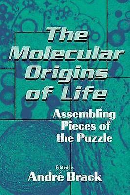 The Molecular Origins of Life