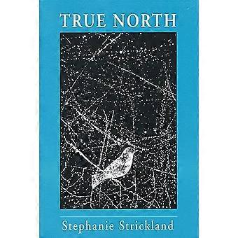 True North