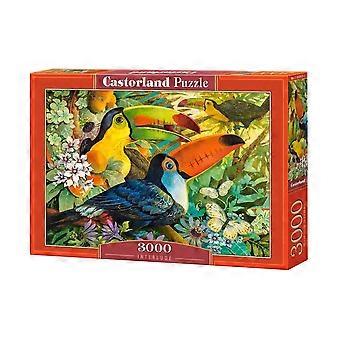 David Galchutt: Interlude Puzzel 3000 Stukjes