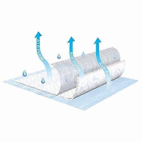 Tena Low Air Loss Underpad, Count of 6 (Pack of 1)