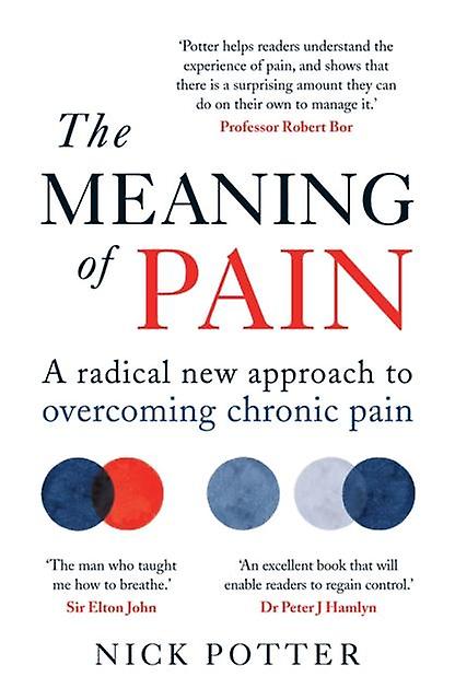 The Meaning Of Pain by Nick Potter Paperback