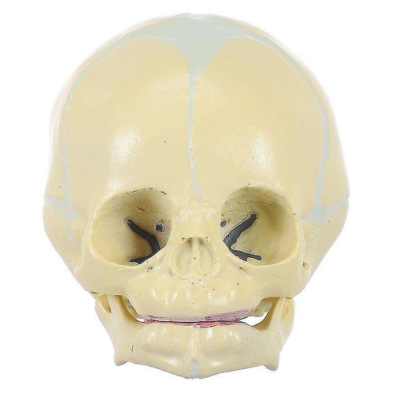 Pvc Desktop Ornament For Medical Use