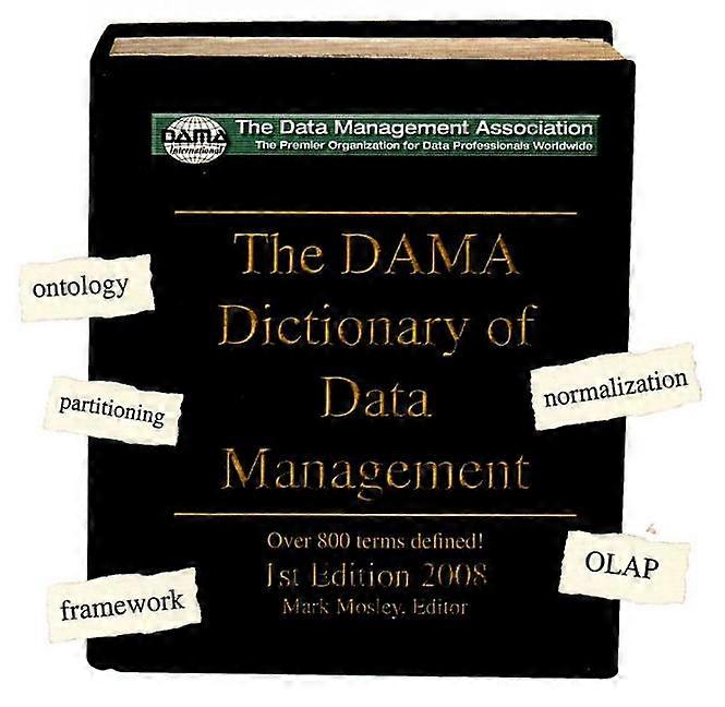 The DAMA Dictionary of Data Management CDROM Over 800 Terms Defined Take It With You