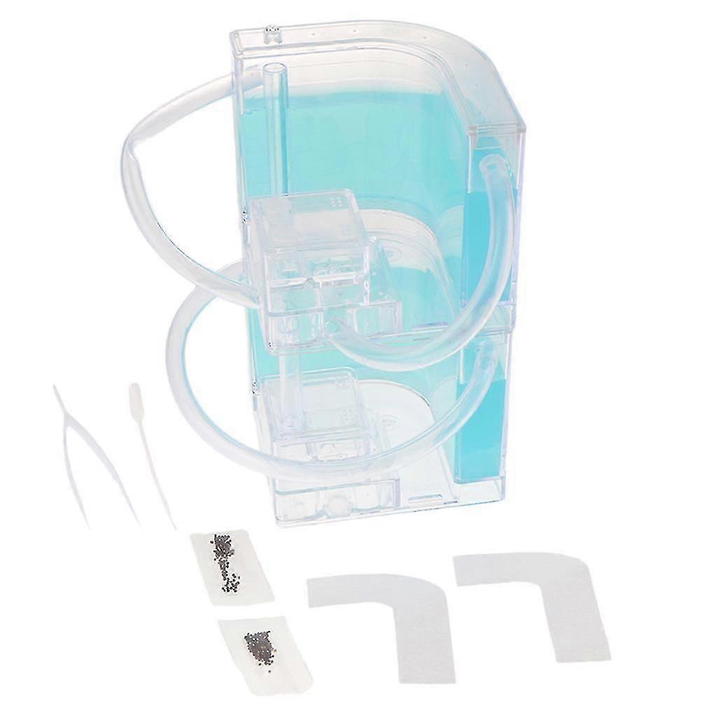 Student Science Magnifier Creative Toy Ant Home Duplex Villa Ligth Blue