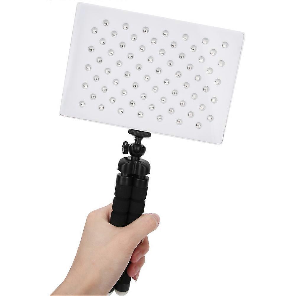 Portable UV Light with Remote & Timer for Outdoor Use, ABS, AAA Battery