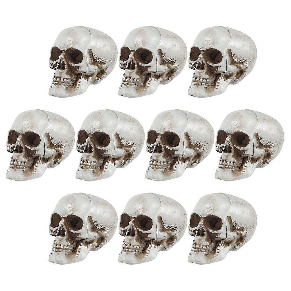 10pcs Halloween Skulls Realistic Looking Skulls Human Skeleton Head Props