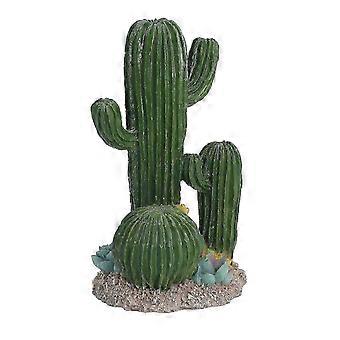 Simulation de cactus en résine, décoration stable pour aquarium avec plantes succulentes pour aquariums et reptiles (2025)