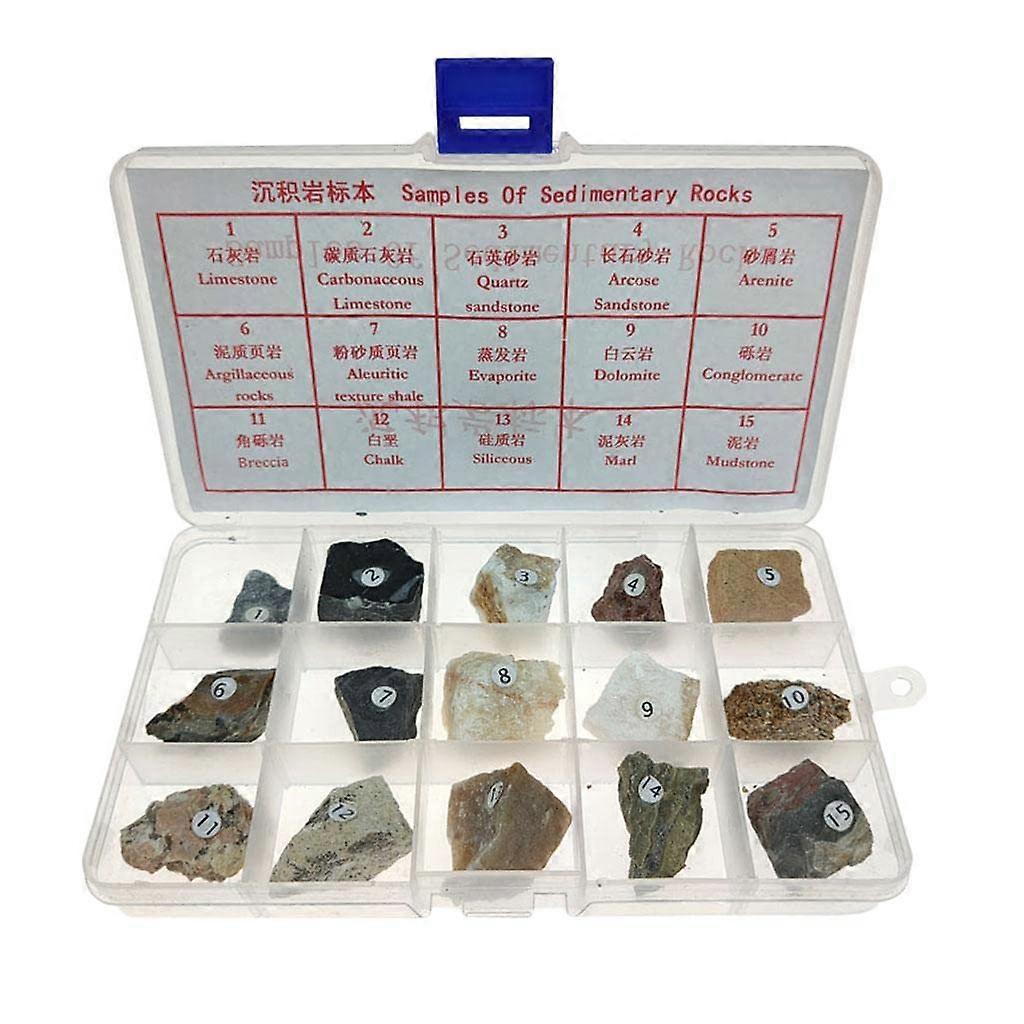 Sedimentary Rock Collection with Numbered Specimens in Compact Storage Box, Geology Kit for Students