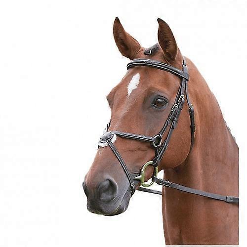 Salisbury Brackley Leather Horse Bridle